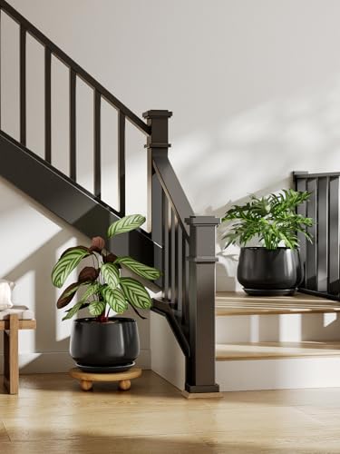 LE TAUCI Ceramic Planter, 10 Inch, Large Plant Pot, Indoor Plant Pot, Black - color: Black, size: 10"