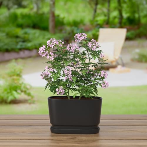 8.9" Rectangular Ceramic Planter with Drainage and Saucer, Black - color: Matte Black, size: Medium