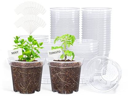 homenote 4 Inch Clear Nursery Pots for Plants with 20 Plant Labels (60 Pcs) - color: Transparency-no Lid, size: 4 Inch-60 Pack