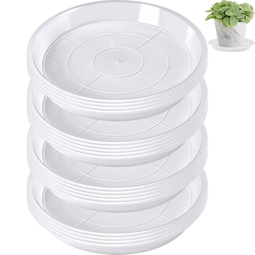 Augshy 18 Pack Plant Suacer 6 Inche Plant Drip Trays - color: Clear, size: 6 Inch
