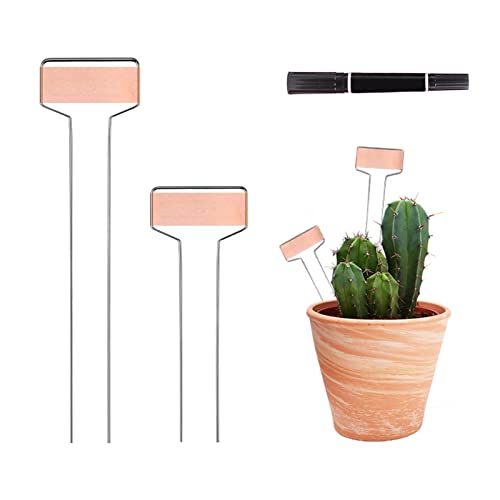 30-Pack Copper Plant Markers Metal Plant Labels 6in&10inch Plant Markers for Outdoor Plants, Garden Markers Plant Labels for Seedlings Herbs Flowers Vegetables Tree Tags Gardening Gifts