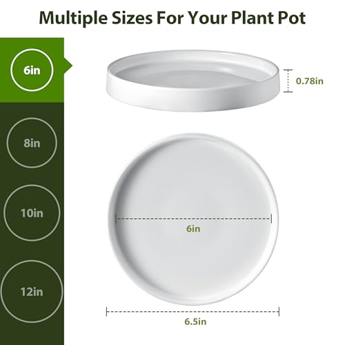 Ceramic Plant Saucer 6.5 Inch 2 Pack White, Fits Pot Base Under 6 Inch - size: 6.5in 2pack