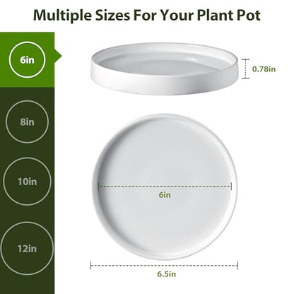 Ceramic Plant Saucer 6.5 Inch 2 Pack White, Fits Pot Base Under 6 Inch - size: 6.5in 2pack