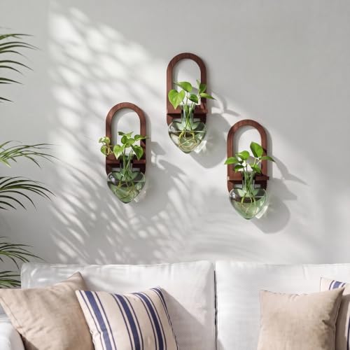 Hushee 3 Set Plant Propagation Station for Wall Hanging with Wooden Stand