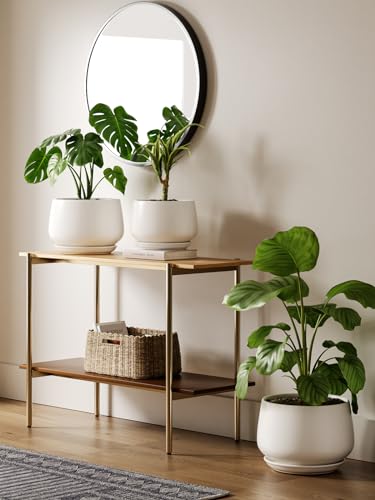 LE TAUCI Ceramic Planter, 12 Inch, Large Plant Pot, Indoor Plant Pot, White - color: White, size: 12"