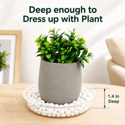 Gardzen Heavy Duty Clear Plastic Plant Saucers, Flower Pot Tray - Excellent for Indoor & Outdoor Plants (10-Inch, 10-Pack) - size: 10 Inch