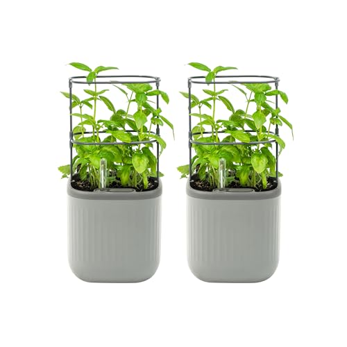 Vego garden Mini Planter Indoor Pots with Trellis Self-Watering Herb Countertop Planter for Climbing Vegetables Flowers Mint Plants Cage 2 Pack- Fog Gray - color: Fog Gray, size: Twin Pack