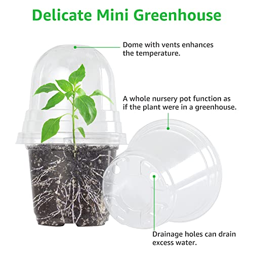 Bonviee Clear Nursery Pots with Humidity Domes, 3.5/4/5 Inch, 36-Pack - size: 3.5/4/5 Inch-36 Packs