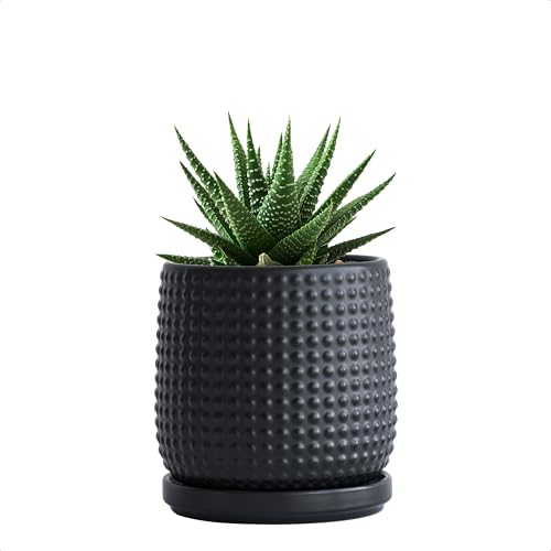 D'vine Dev Beaded Ceramic Pot with Saucer, 4 in, Ebony Matte, 27-C-Z-6 - color: Ebony Matte, size: 4.3 Inch