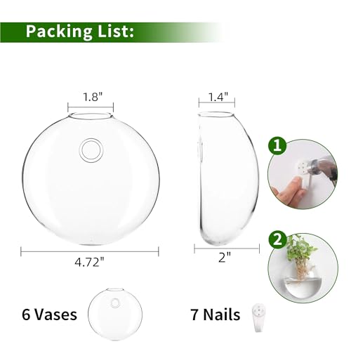 Wall Propagation Planter 6 Pack Glass Wall Planter Oblate Hanging Terrarium