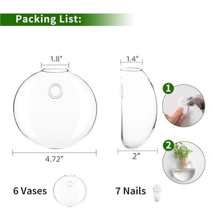 Wall Propagation Planter 6 Pack Glass Wall Planter Oblate Hanging Terrarium
