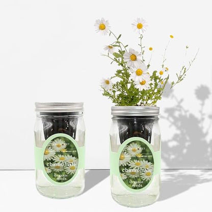 Hydroponic Herb Growing Kit, Self-Watering Mason Jar Herb Garden Starter Kit Indoor, Windowsill Herbs Garden, Grow Your Own Herbs from Organic Seeds (Chamomile) - color: Chamomile