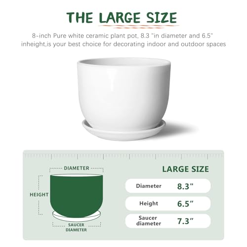 8 Inch Ceramic Plant Pot,Ceramic Planter,White - size: 8 Inch 1 Pc