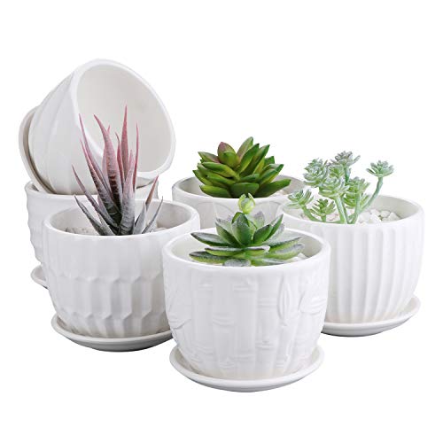 Flower Pots, 4 Inch Cylinder Ceramic Plant Pots with Connected Saucer, Mini Ceramic Planters for Succulent and Little Snake Plants (6 Pack, White)