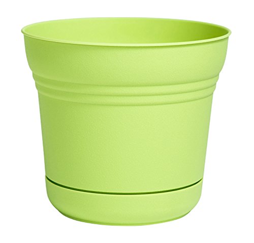 Bloem 010018 Sp1025 Saturn Planter, 10", Passion Fruit Grass Plants, Honey Dew - color: Honey Dew, size: 10"