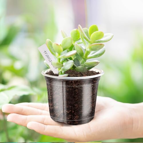 4/5/6Inch Nursery Pot,30 Pack Clear Pots with Drainage - size: 4/5/6Inch