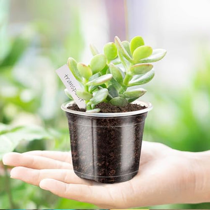 4/5/6Inch Nursery Pot,30 Pack Clear Pots with Drainage - size: 4/5/6Inch