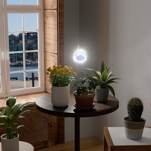 GooingTop Grow Light,24W (160Watts Equiv) 5000K White Full Spectrum LED Growing Lamp Clip on Desk for Indoor Plants,Bulbs Replaceable & Non-dimmable (Black, 80W) - size: 80W