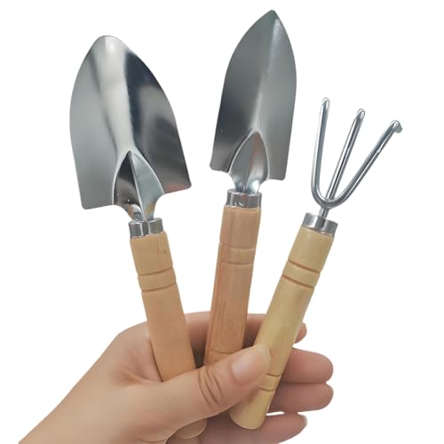 3 Pcs Mini Garden Tools Set Small Tiny Shovel Trowel and Hand Rake with Solid Wood Handle Indoor Gardening Tools for Pot Plants Succulent Bonsai - style: 3PCS Mini Silver