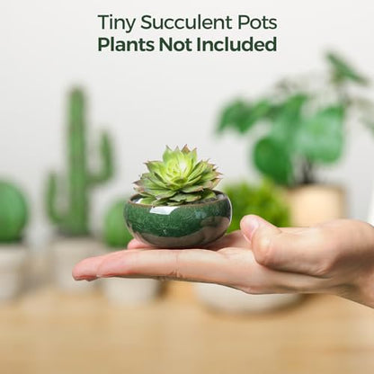 T4U Mini Succulent Pots, Small Shallow Ceramic Pots, Retro Gift Set of 6 - size: Small