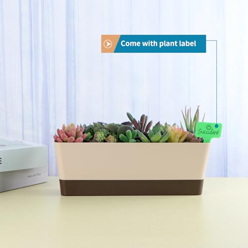 Window Box Planter with Tray, 12" Rectangle Plant Pot, Pack of 2 (Beige)