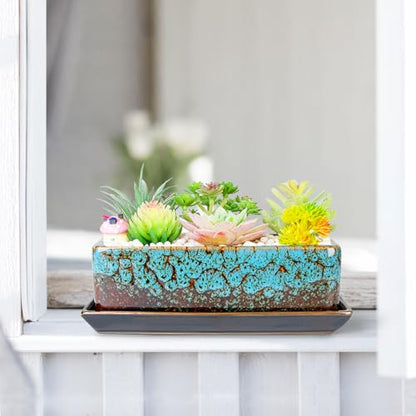 Succulent Pots - Long Rectangle Succulent Planters with Drainage Tray - color: Blue