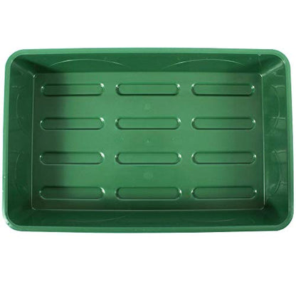 EarlyGrow 93763 Medium Seed and Herb Domed Propagator with Vented Side Height Extension, Green - size: Medium with 1 Height Extender