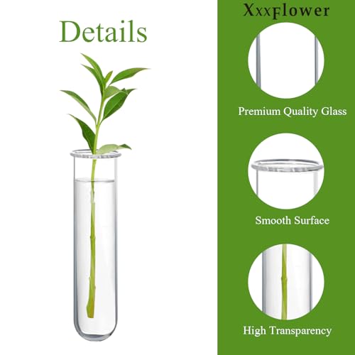 XXXFLOWER Glass Propagation Stations Accessories 4 Tube Vases - size: Size B