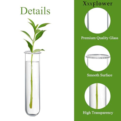 XXXFLOWER Glass Propagation Stations Accessories 4 Tube Vases - size: Size B