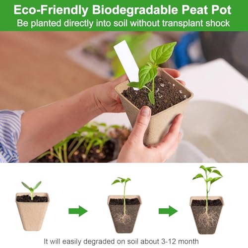 KOAMLY Square Peat Nursery Pots 150 Pcs 3in Biodegradable and Label, Used for Outdoor Gardens in Plant Nurseries