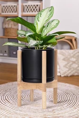 D'vine Dev Ceramic Pot with Natural Wood Stand, Black, 8 in, 55-B-N-2 - color: Black Pot + Natural Stand, size: 8 Inch