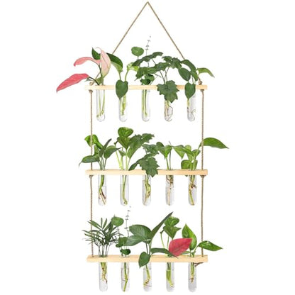 XXXFLOWER Wall Hanging Propagation Station with Wooden Stand 15 Tubes - color: Beige, size: 15 Tube Vases