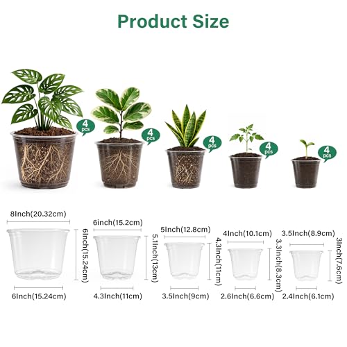 Bluepro Clear Nursery Pots with Drainage, 3.5/4/5/6/8 Inch, 20-Pack - size: 3.5/4/5/6/8 Inch-20Pcs