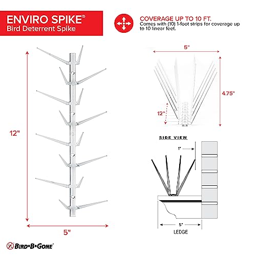 Bird B Gone EnviroSpike Plastic Bird Spikes, 10ft, Clear - size: 10 Feet Long