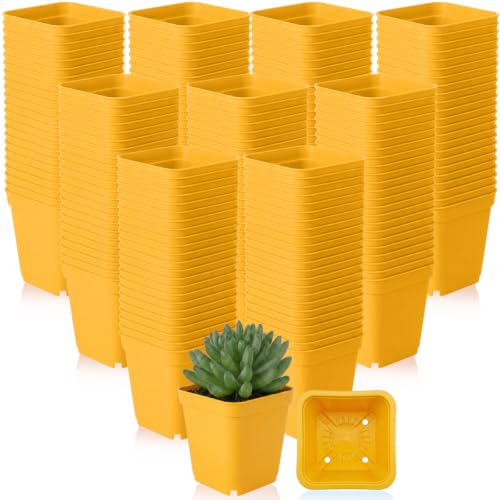 Yaomiao 200 Pack 3 Inch Yellow Nursery Pot Square Flower Pots Plastic Plant Succulent Planter Seed Starting Pots with Drainage Holes for Garden Office Balcony Decor Indoor Outdoor Plant Seedling - color: Yellow