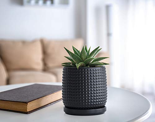D'vine Dev Beaded Ceramic Pot with Saucer, 4 in, Ebony Matte, 27-C-Z-6 - color: Ebony Matte, size: 4.3 Inch