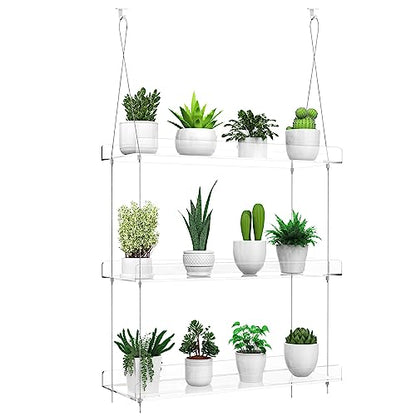 3-Tier Hanging Clear Plant Shelves for Windows, 16 Inch per Tier - size: 3 Tier