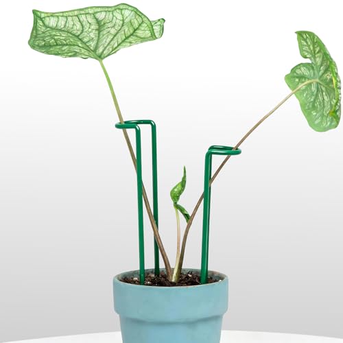 Indoor Plant Stakes 8.7" Durable 10Pcs for Monstera & Potted Plants - color: Green, size: 8.7 Inch H