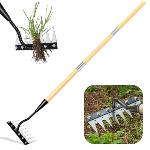 Iron Weeding Rake with Long Handle, 8-Tine Heavy Duty Garden Tool for Lawn - color: Black