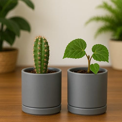 D'vine Dev 2-Pack Ceramic Pots with Saucers, Grey, 3.5 in, 94-V-A-3 - color: Gray, size: 3.5 Inch