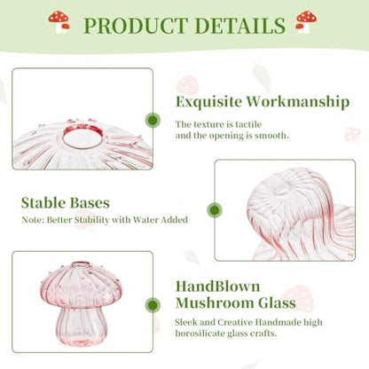 Glasseam Mushroom Plant Propagation Station: 5 Pcs Glass Mini Terrarium - color: Colorful, size: 5