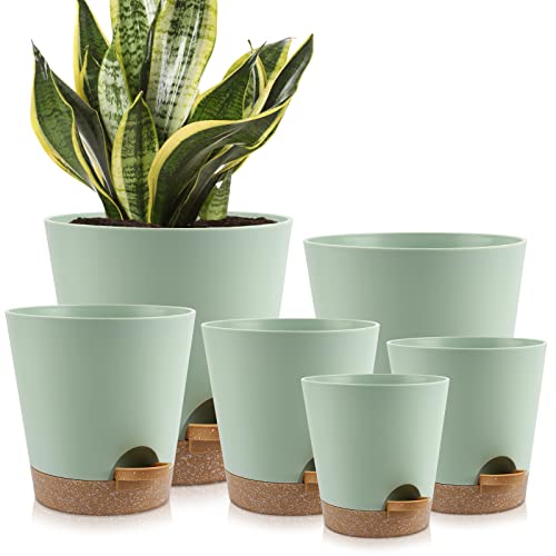 YNNICO Indoor Self Watering Planters with Drainage Holes and Saucers, 8, 7, 6.5, 6, 5.5, 5 Inches, Green, 6 Pots. - color: Green, size: 8+7+6.5+6+5.5+5 inch