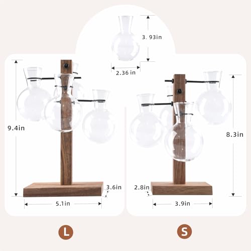Plant Propagation Station with Acacia Wood Stand and 4 Glass Vases - size: Small