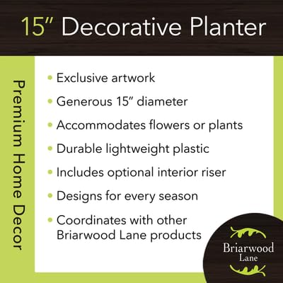 Briarwood Lane Spring Planter 8.5" x 8.5" x 8.5" Springtime Hummingbirds Small for Spring Planter