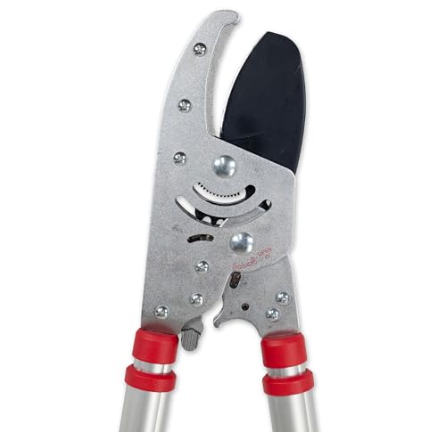 ALLWAY GA-XRTL Extendable Jumbo Ratchet Tree Lopper