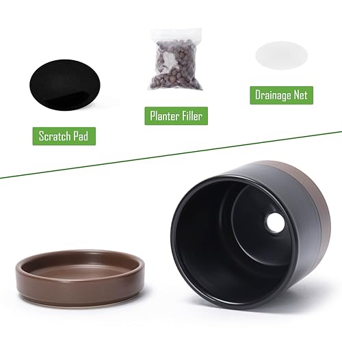 D'vine Dev 2-Pack Ceramic Pots with Saucers, Black/Tan, 4.7 in, 94-V-B-7 - color: Black/Speckled Tan, size: 4.7 Inch
