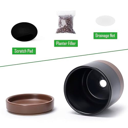 D'vine Dev 2-Pack Ceramic Pots with Saucers, Black/Tan, 4.7 in, 94-V-B-7 - color: Black/Speckled Tan, size: 4.7 Inch