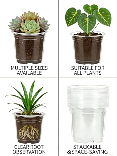 JOPY Plant Nursery Pots with Humidity Dome Seed Starter Pots Seedlings Planting Pots Small Planter Containers with Drainage Holes (Transparent, 5/6/7 inch-30Pcs) - size: 5/6/7 inch-30Pcs