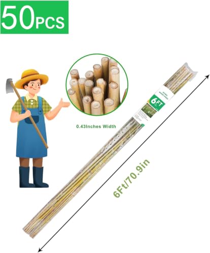 Natural Bamboo Plant Stakes (6ft-50pcs) - size: 6ft-50pcs