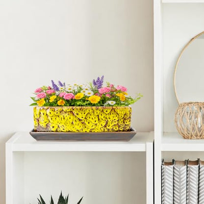 Succulent Pots - Long Rectangle Succulent Planters with Drainage Tray - color: Yellow